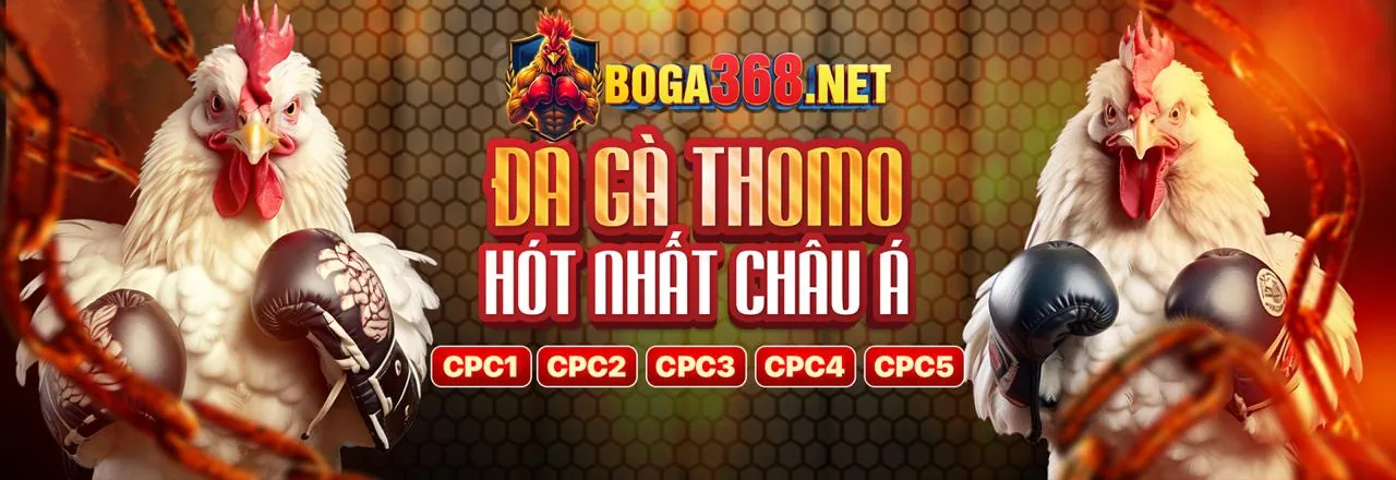 Bia66 Chính Thức: Nền tảng cá cược trực tuyến hàng đầu