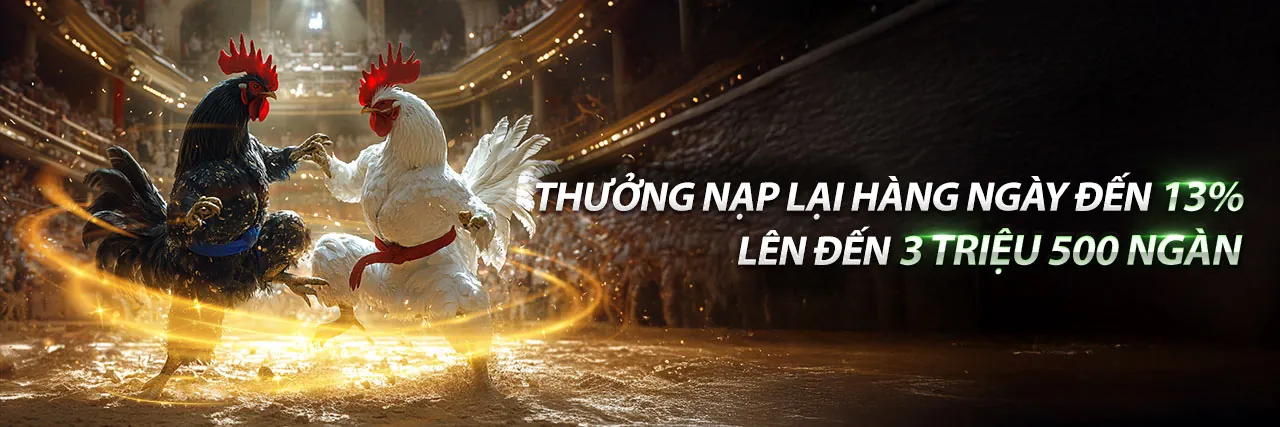 Sân đấu đá gà trực tuyến kịch tính tại bia66 chính thức
