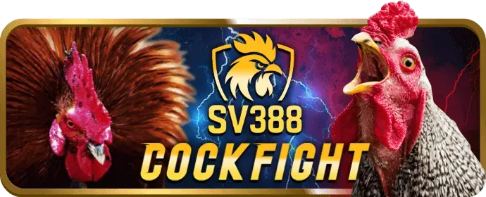 Đá gà cựa sắt